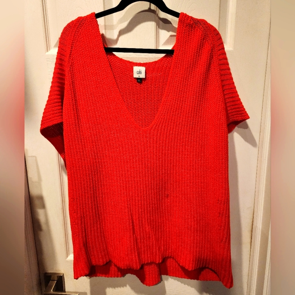 Cabi VNeck sweater